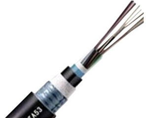 大唐保镖24芯多模万兆室外光缆(GYTA53-OM3-24A1A) 高性能网络传输的可靠之选