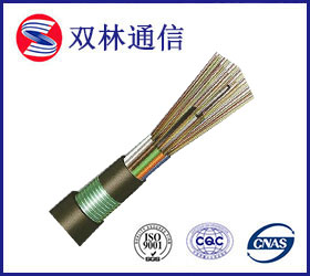 GYTS03(FS)防鼠光缆 特性、结构与应用解析